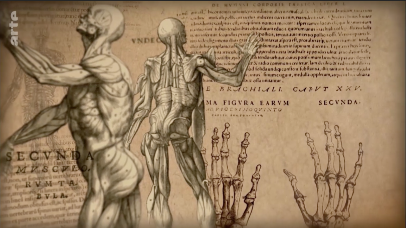 Cancer - Une biographie (2/2)